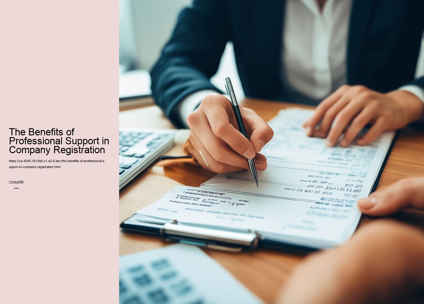 The Benefits of Professional Support in Company Registration